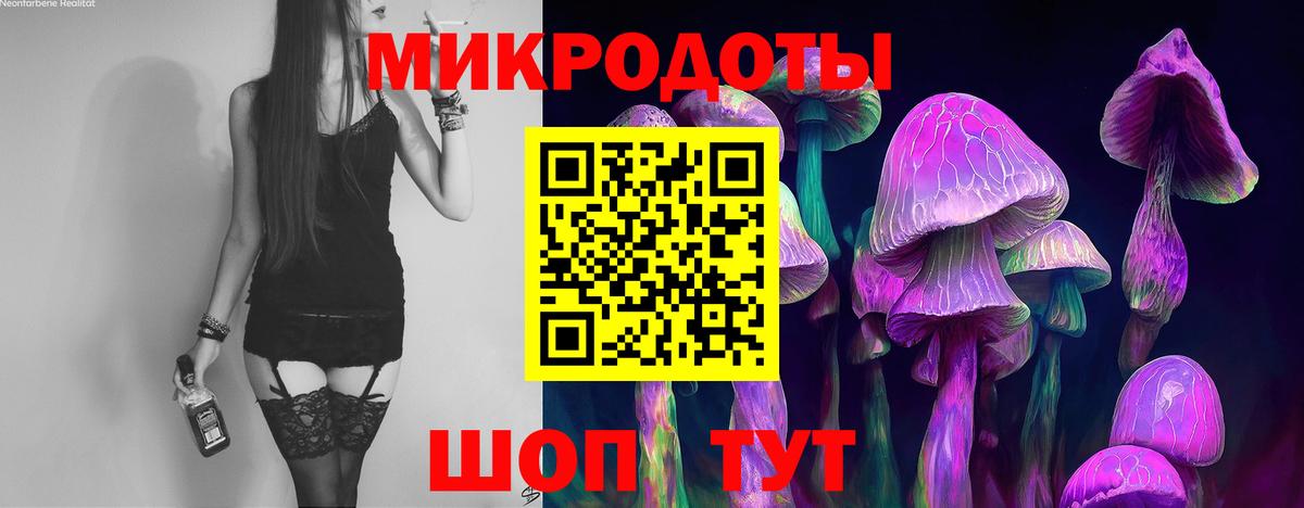 Галлюциногенные грибы Cubensis Ковров